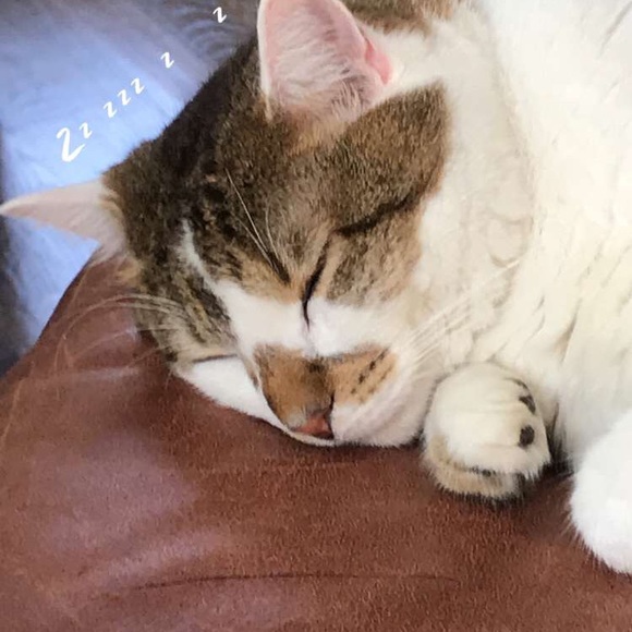 Oi :] - Picture 2 of 5